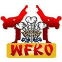 Welsh Freestyle Karate Kickboxing Organisation logo