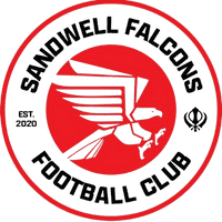 Sandwell Falcons FC logo