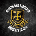 Norton & Stockton Ancients U8 Amber logo