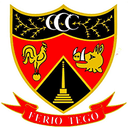 Congresbury Cricket Club logo