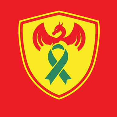 Clŵb Pêl-Droed Trawsblaniad Cymru logo