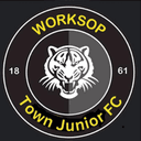 Worksop Town Junior Football Club logo