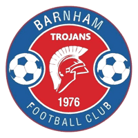 Barnham Trojan Women logo