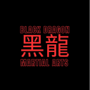 Black Dragon Freestyle Martial Arts logo