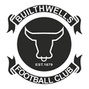 Builth Wells FC logo