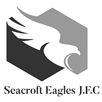 Seacroft Eagles Junior Football Club Logo 200px