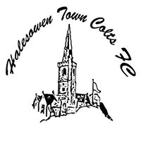 Halesowen Town Colts 200px