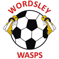 Wordsley Wasps FC 200px