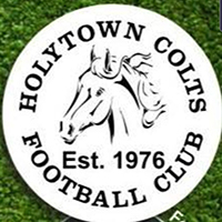 Holytown Colts 2011 200px