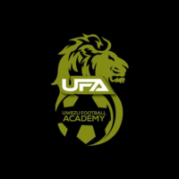 Website logo sizing (1)