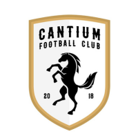 Website logo sizing (10)