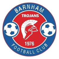 Barnham Trojan Women logo