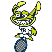 Northampton Tennis Coaching logo