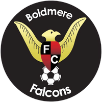 Boldmere Falcons FC logo