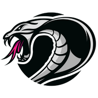 Cobham Cobras Basketball Club logo