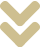 double-arrow-icon-image